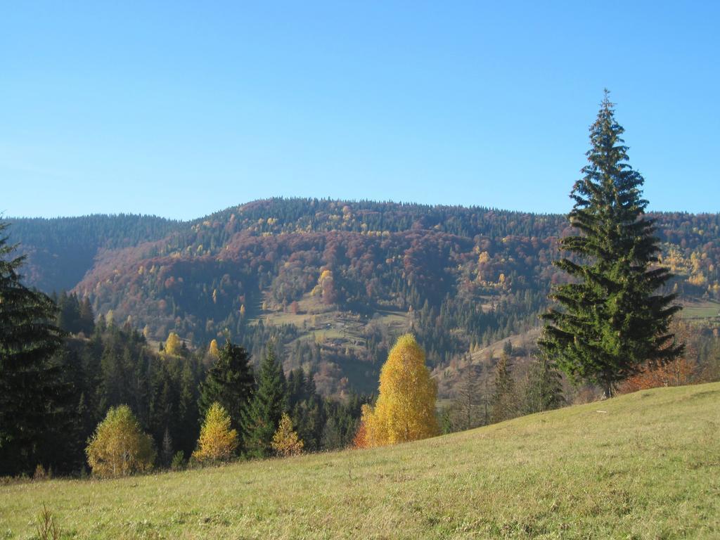 Guest House Stari Druzy Slavske Exterior foto