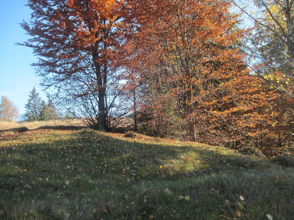 Guest House Stari Druzy Slavske Exterior foto